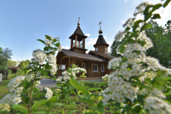 maksiuss 
В мае 
2021-06-12 12:03:00