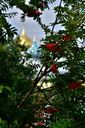 ev_grebneva 
"В сердце" 
2021-06-12 18:55:28