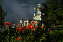 Viksimono 
Красные маки 
2021-06-12 22:15:56