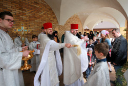 jarek 
Paschal period processions in Zwierki Convent 
2021-06-16 08:03:39