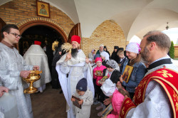 jarek 
Paschal period processions in Zwierki Convent 
2021-06-16 08:04:32