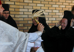 jarek 
Paschal period processions in Zwierki Convent 
2021-06-18 07:59:19