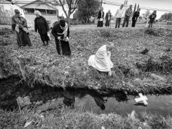 Lazo 
Holy Theophany and blessing the waters of Jackson Creek, Calif. 
2021-06-21 03:53:24