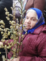 89103601247 
Бабушка Клава 
2021-06-24 16:51:29