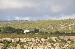 NikiNikolaou 
Saint Matrona, Peyia, Paphos 
2021-06-24 23:27:19