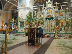 Zhirar 
После праздника 
2021-06-29 11:22:27