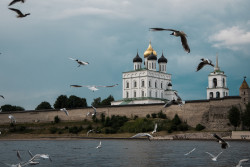 ninatyumen 
Псковский Кром - жемчужина православия 
2021-06-30 17:59:50