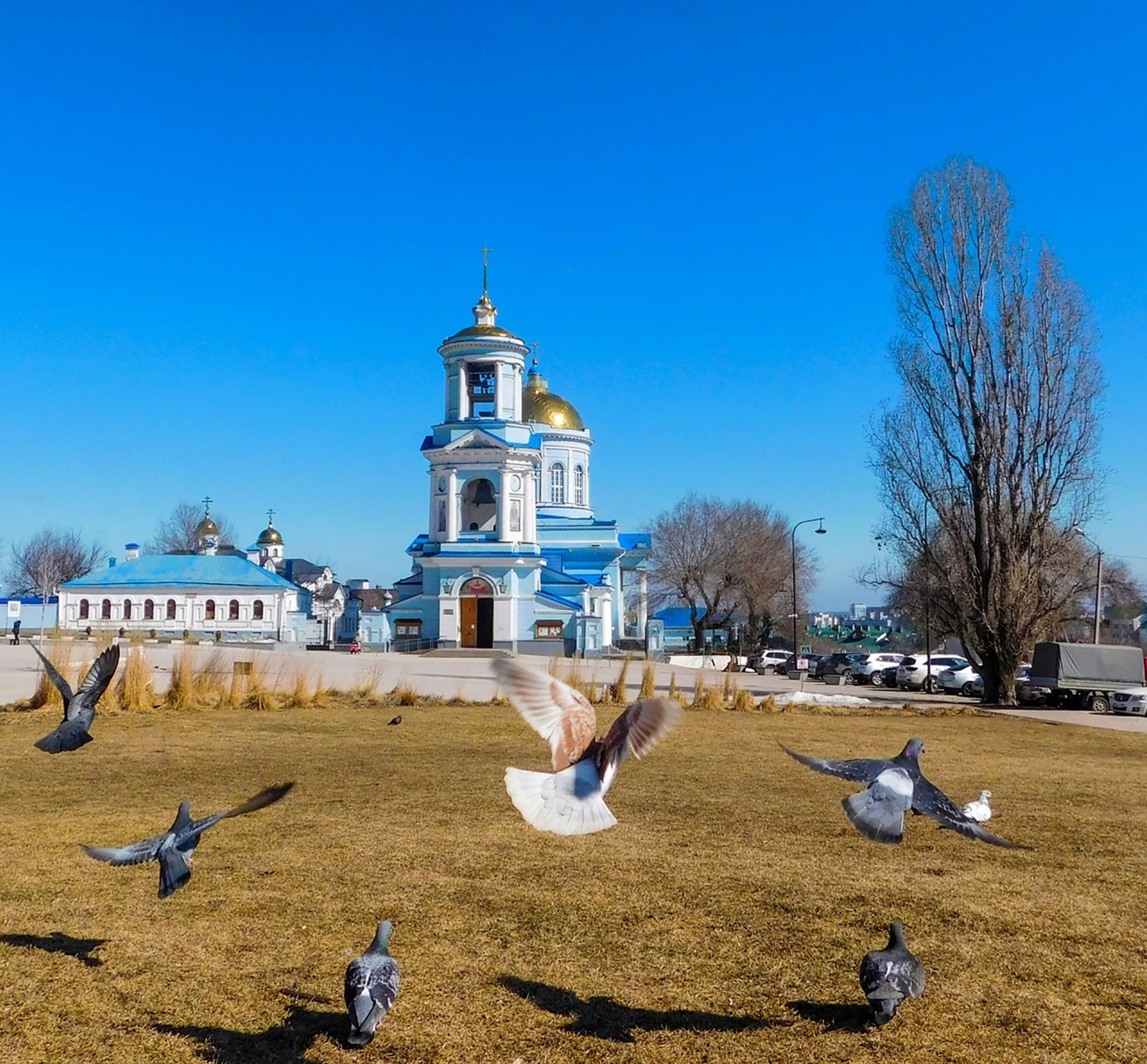 Вблизи Покровской церкви в Воронеже