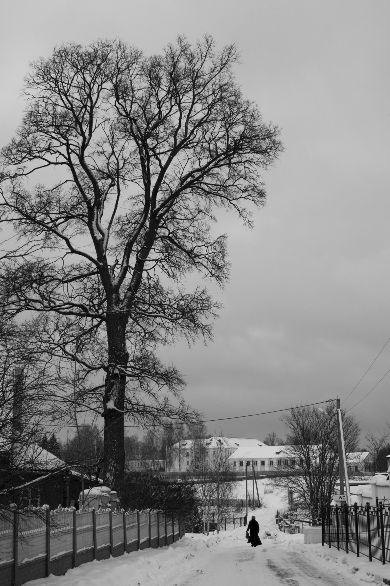Прогулка