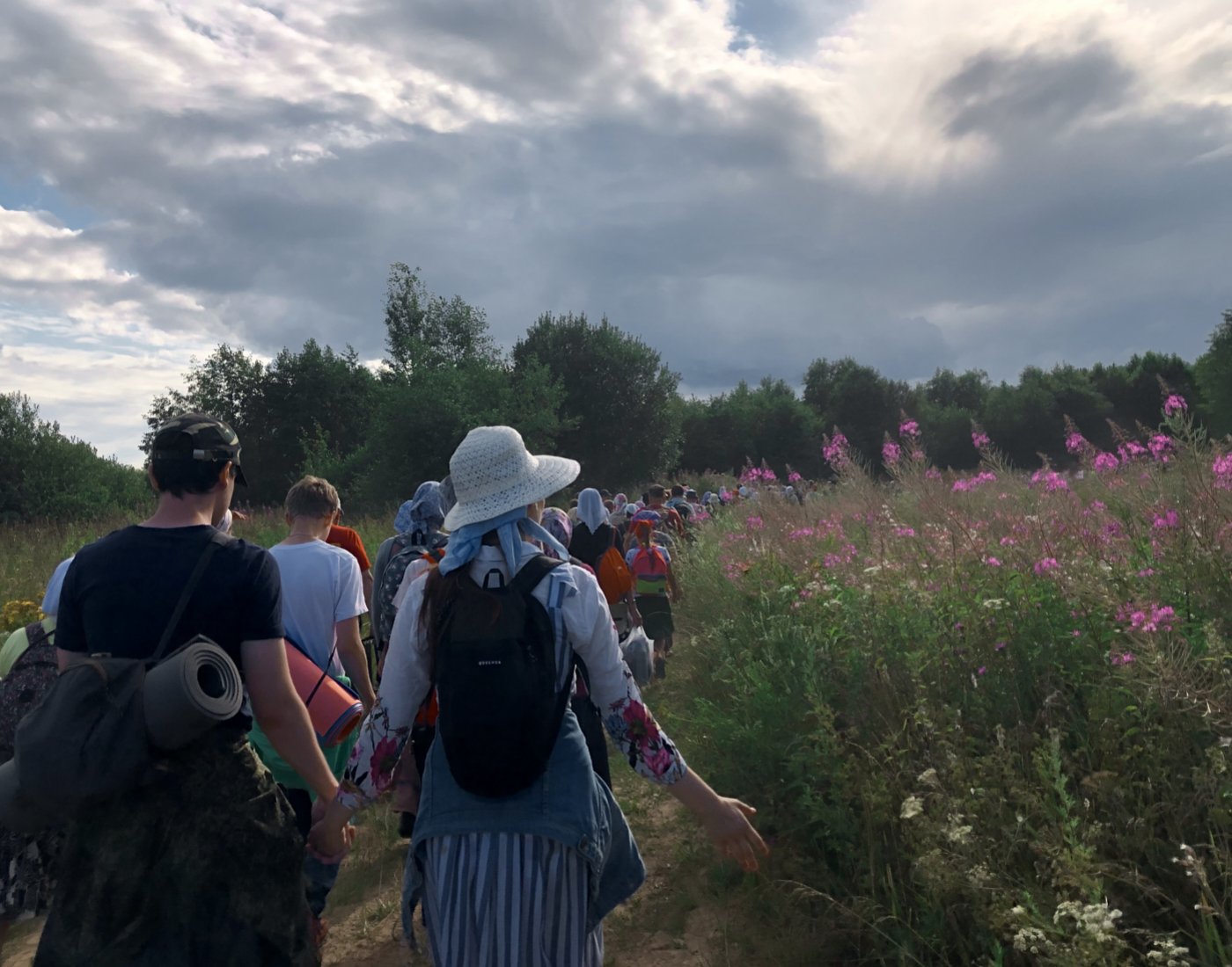 В полях