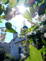 #Y_Valentina@ 
Церковь Троицы Живоначальной в Листах 
2021-07-01 08:51:25