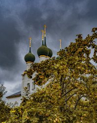 irmilochka 
Сады Эдема 
2021-07-03 22:32:13
