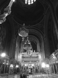 ariana_33 
Anatomy of the church/ antropologia formei 
2021-07-07 17:15:28
