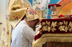 jv10nj 
Ordination 
2021-07-07 18:33:38