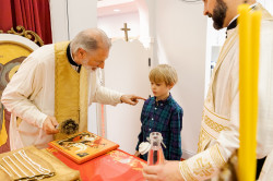Vlutes 
His Grace Bishop Irinej blesses icon of St. George 
2021-07-08 03:10:23