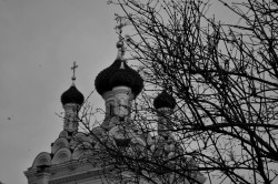 eromanova389 
Благодать 
2021-07-08 09:51:46