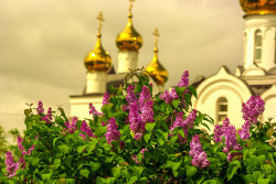 avacha50 
Купола 
2021-07-10 15:07:41
