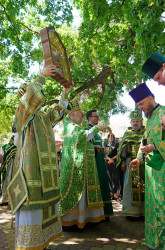 jarek 
The Holy Spirit feast in the Holy Spirit Orthodox church in Białystok 
2021-07-15 09:58:54