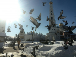 #Y_Valentina@ 
Свято-Никольский Угрешский мужской монастырь 
2021-07-15 15:44:45