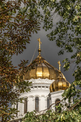 irmilochka 
В окладе.. 
2021-08-02 07:02:36