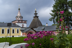 irmilochka 
В цветочном убранстве... 
2021-08-06 23:39:15