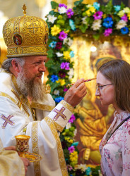 jarek 
Patronal feast in St. Mary Magdalene Cathedral in Warsaw - the all-night vigil 
2021-08-15 14:51:48