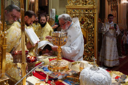 jarek11 
Divine Liturgy of the patronal feast in St. Mary Magdalene Cathedral in Warsaw 
2021-08-16 15:02:08