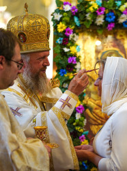 jarek 
Patronal feast in St. Mary Magdalene Cathedral in Warsaw - the all-night vigil  
2021-08-19 20:18:00