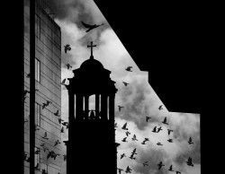 Ana Batricevic 
Na krilima vere (On the Wings of Faith) 
27 
2021-08-21 22:45:12