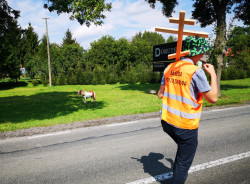 Sheep1389 
Służba porządkowa i kucyk - warszawska pielgrzymka na Grabarkę 2021 
2021-08-29 15:49:09
