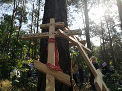 Sheep1389 
Krzyże pielgrzymkowe na Liturgii polowej warszawskiej pielgrzymki 2021 
2021-09-03 12:23:34