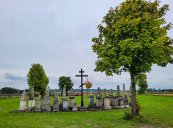 jarek11 
The Orthodox cementary in Śniatycze 
2021-09-05 12:54:46