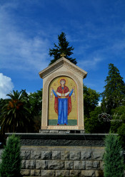 levangabechava 
Zugdidi. Georgia. 
2021-09-17 10:26:21