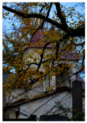levangabechava 
The Orthodox church in Zugdidi. Georgia. 
2021-09-30 11:08:16