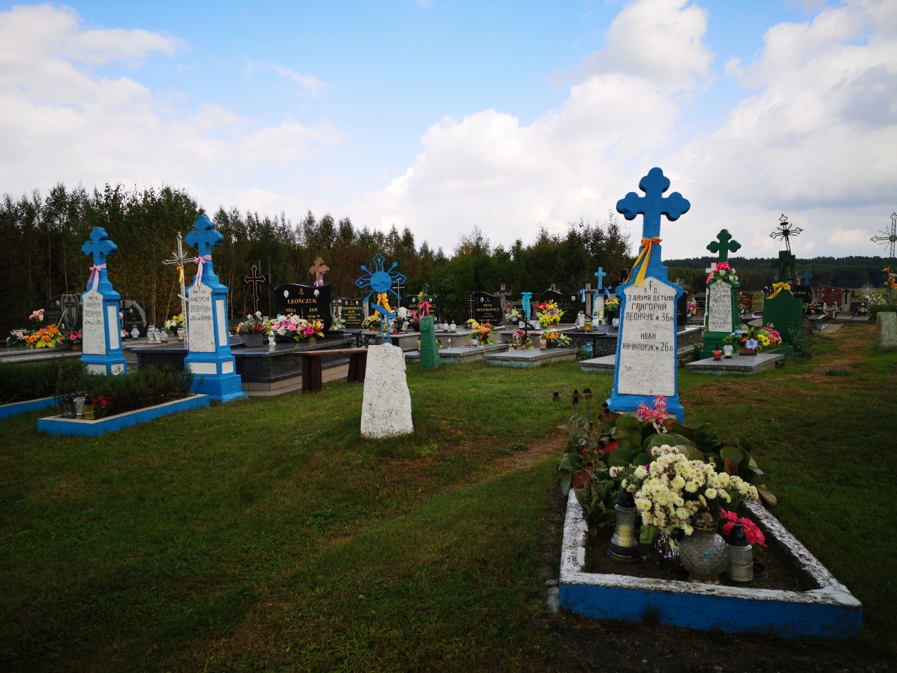 Groby na cmentarzu w Zaleszanach (1)