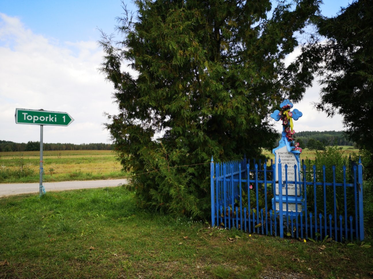 Niebieski krzyż, Zaleszany