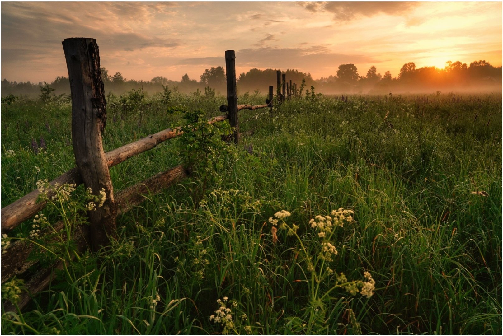Лето в деревне