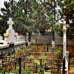 Florina 
Forgetfulness... 
2021-10-01 22:31:01