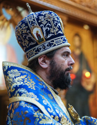 jarek11 
Bishop Andrzej 
2021-10-24 12:06:56