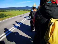 Sheep1389 
Shadows of the pilgrims to Gorlice 2021 
2021-11-03 20:38:28