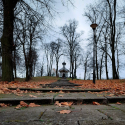 Juliaorzrchowska 
Cerkiew św. Marii Magdaleny  
15 
2021-11-06 21:36:10