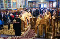 jarek 
St. Jacob Divine Liturgy in St. Nicholas Orthodox Cathedral in Białystok 
2021-11-11 16:57:03
