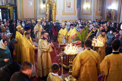 jarek11 
The priest ordination in St. Mary Magdaleny Cathedral in Warsaw 
2021-11-15 21:45:20