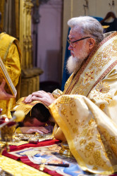 jarek11 
The priest ordination in St. Mary Magdaleny Cathedral in Warsaw 
2021-11-15 21:47:31