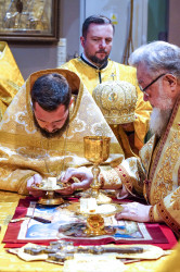 jarek11 
The priest ordination in St. Mary Magdaleny Cathedral in Warsaw 
2021-11-15 21:48:04