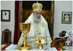 levangabechava 
Митрополит Зугдидский и Цайшский Герасим  
2021-11-16 10:33:45