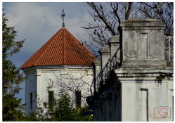 levangabechava 
The Orthodox church in Zugdidi. Georgia. 
2021-11-21 18:49:23