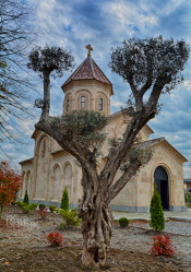 levangabechava 
The Orthodox church in Zugdidi. Georgia. 
18 
2021-11-24 18:30:22