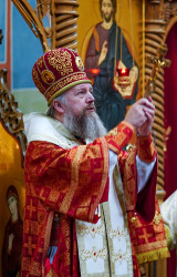 jarek 
Archbishop Grzegorz in Zwierki Convent 
2021-11-24 19:07:15