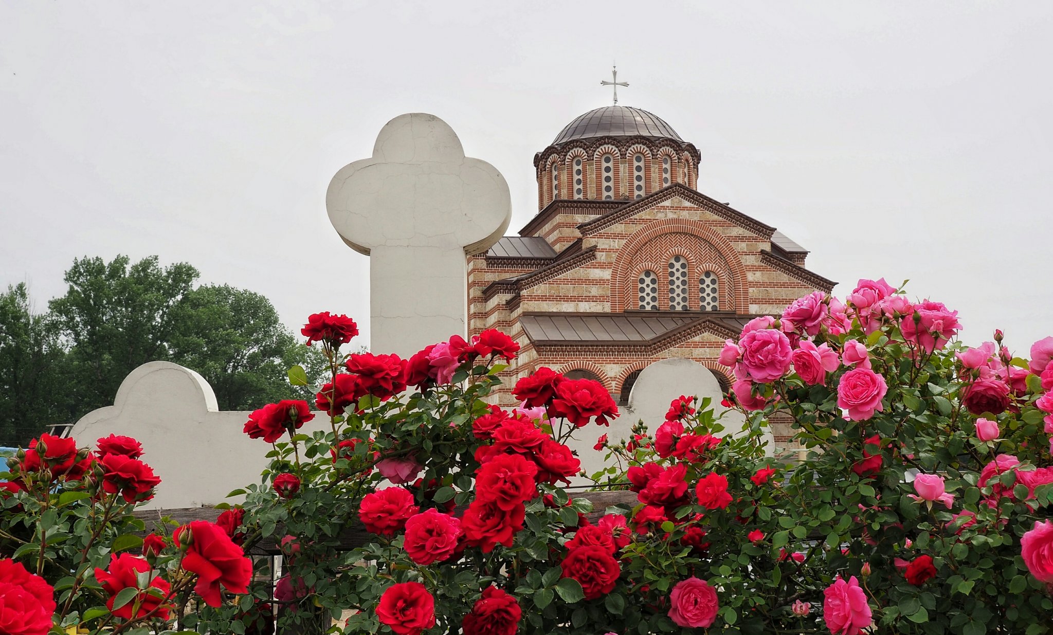 Руже и крст